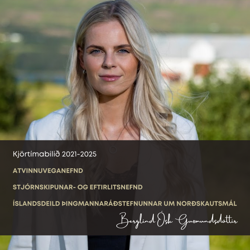 Nefndastörf Alþingis