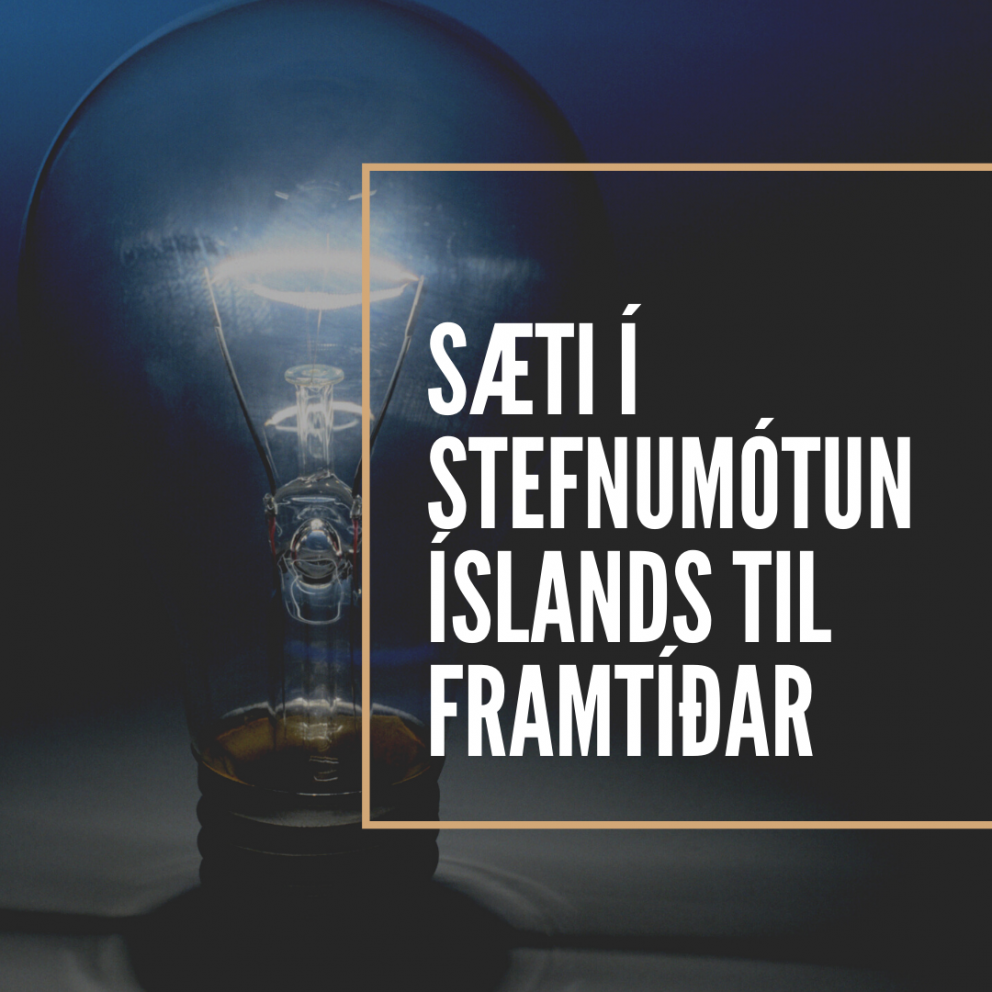 Sæti í stefnumótun Íslands til framtíðar
