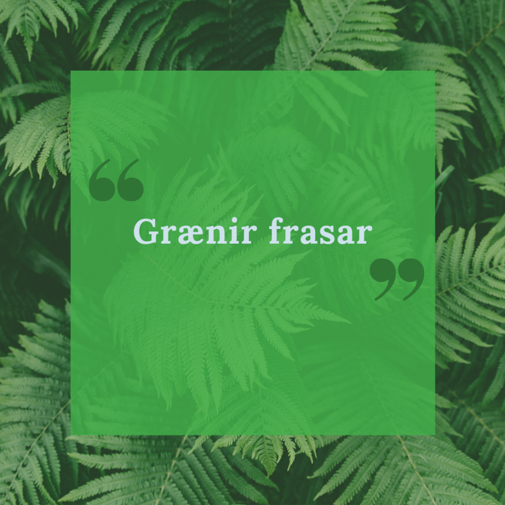 Grænir frasar