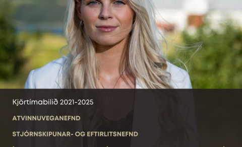 Nefndastörf Alþingis