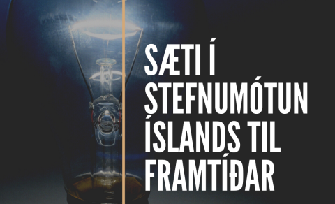 Sæti í stefnumótun Íslands til framtíðar
